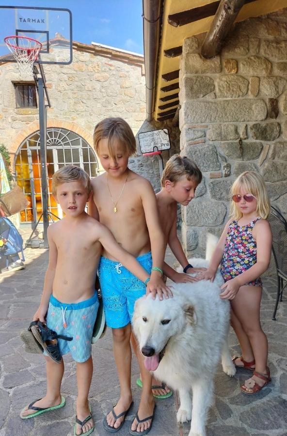 Podere I Casaloni - La casa nel bosco Torniella Esterno foto