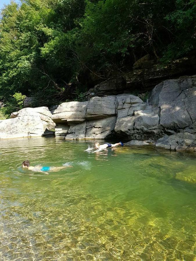 Podere I Casaloni - La casa nel bosco Torniella Esterno foto